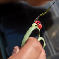 Ridge Monkey Nite Glo Strip n Snip Scissors